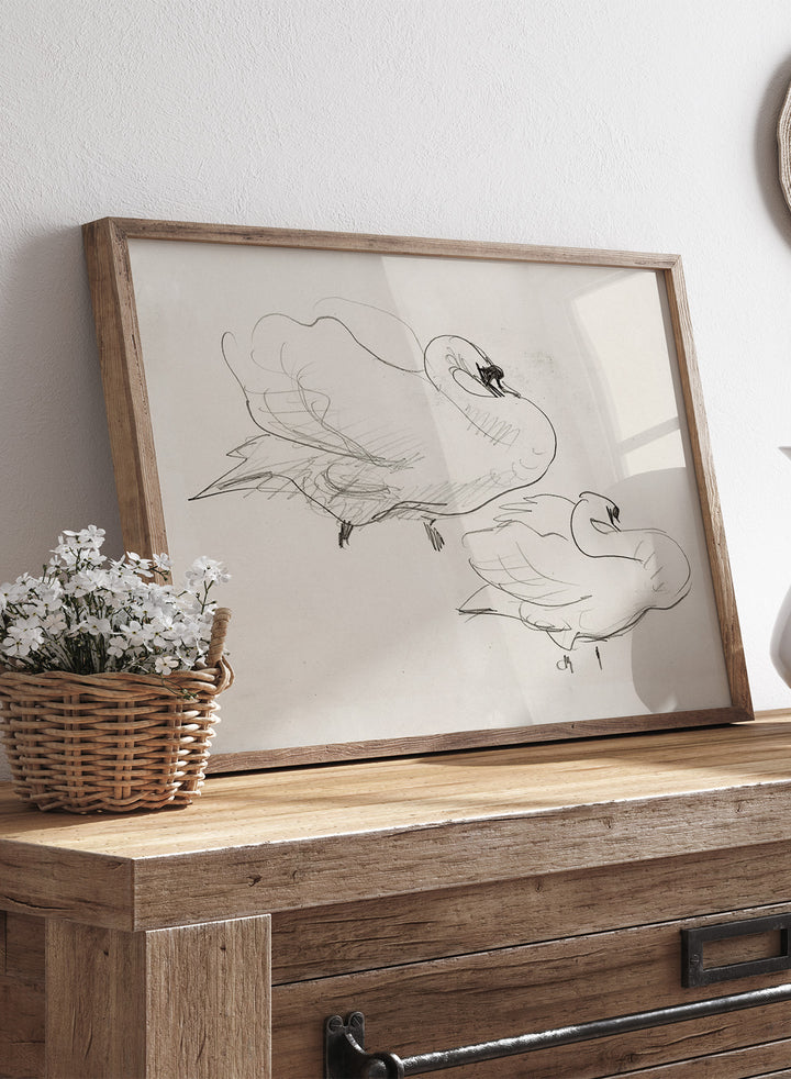Studies of a Swan is a vintage pencil sketch print of two swans preening, a simple line drawing for a nature-inspired wall art collection.