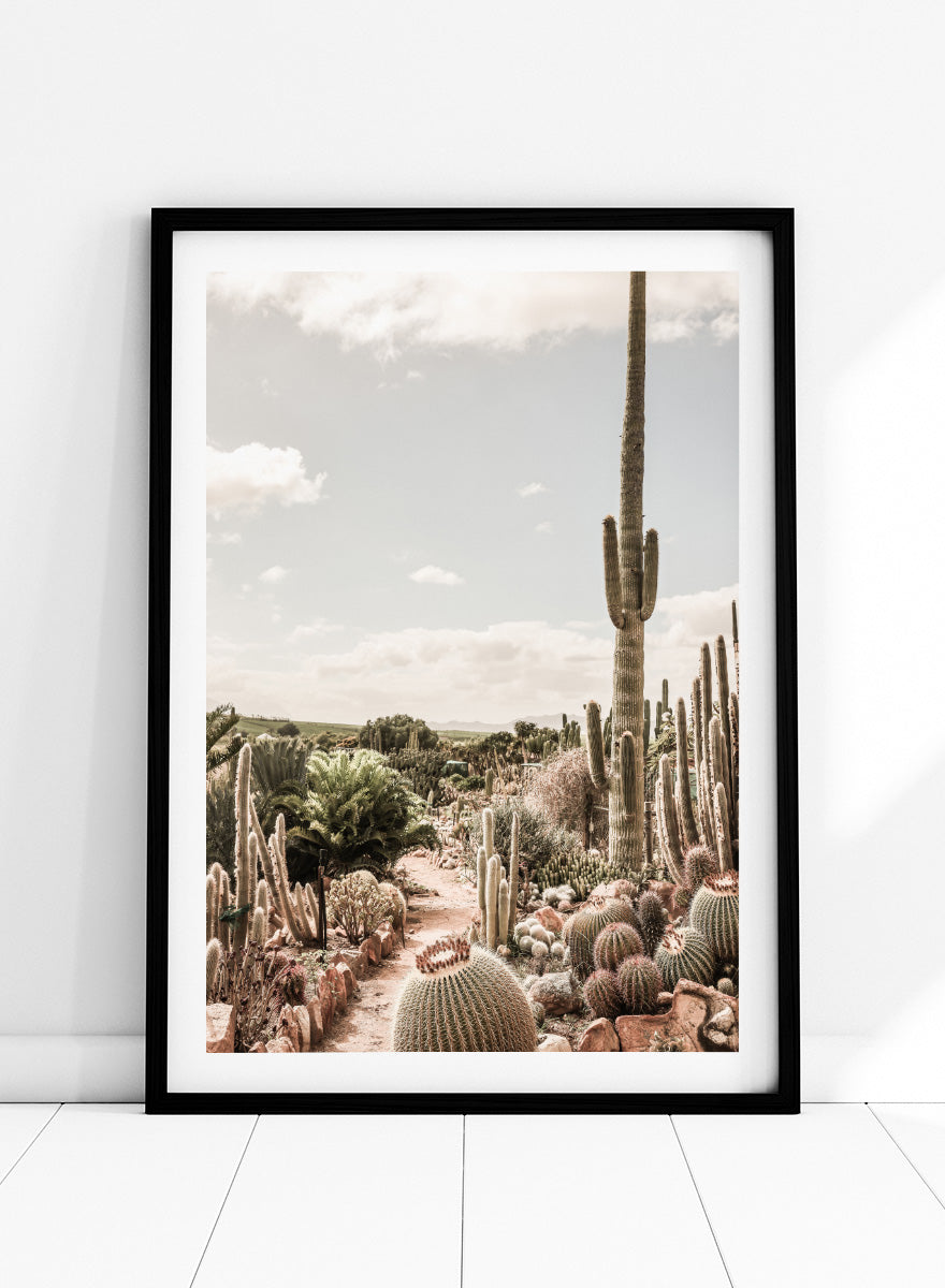 A framed art print depicting a desert landscape with various cacti and a tall saguaro under a cloudy sky. Cactus Farm by Shot by Clint desert photography print featuring towering cacti, winding garden paths, warm stone, and layered botanical texture.
