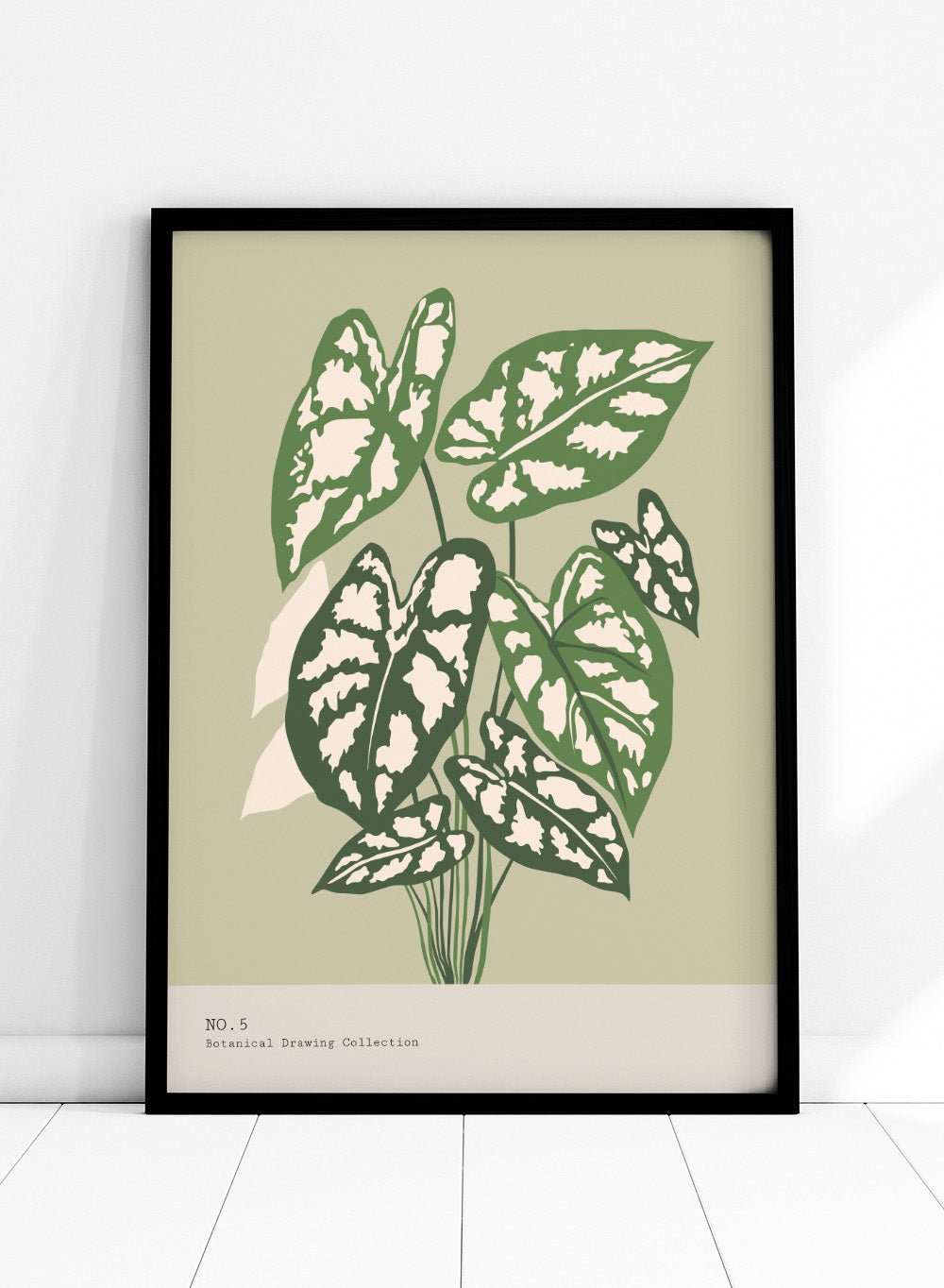 'Caladium Plant' Aesthetic Art Print_Sugar & Canvas