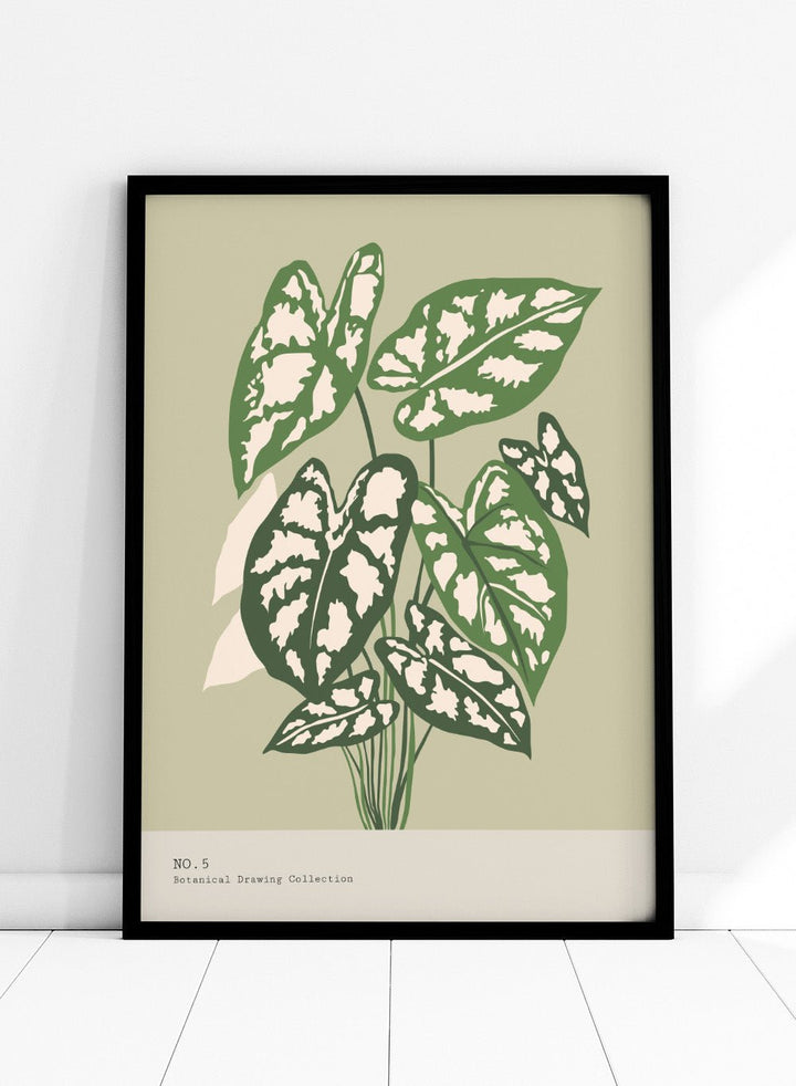 'Caladium Plant' Aesthetic Art Print_Sugar & Canvas