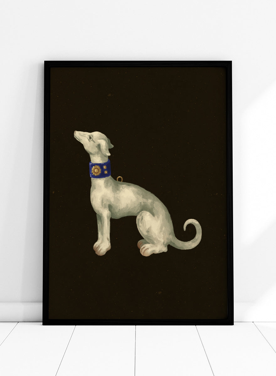 Shop Elegant White Greyhound by NKTN, a dog wall art print poster featuring a graceful white greyhound with a blue and gold collar on a dark background.