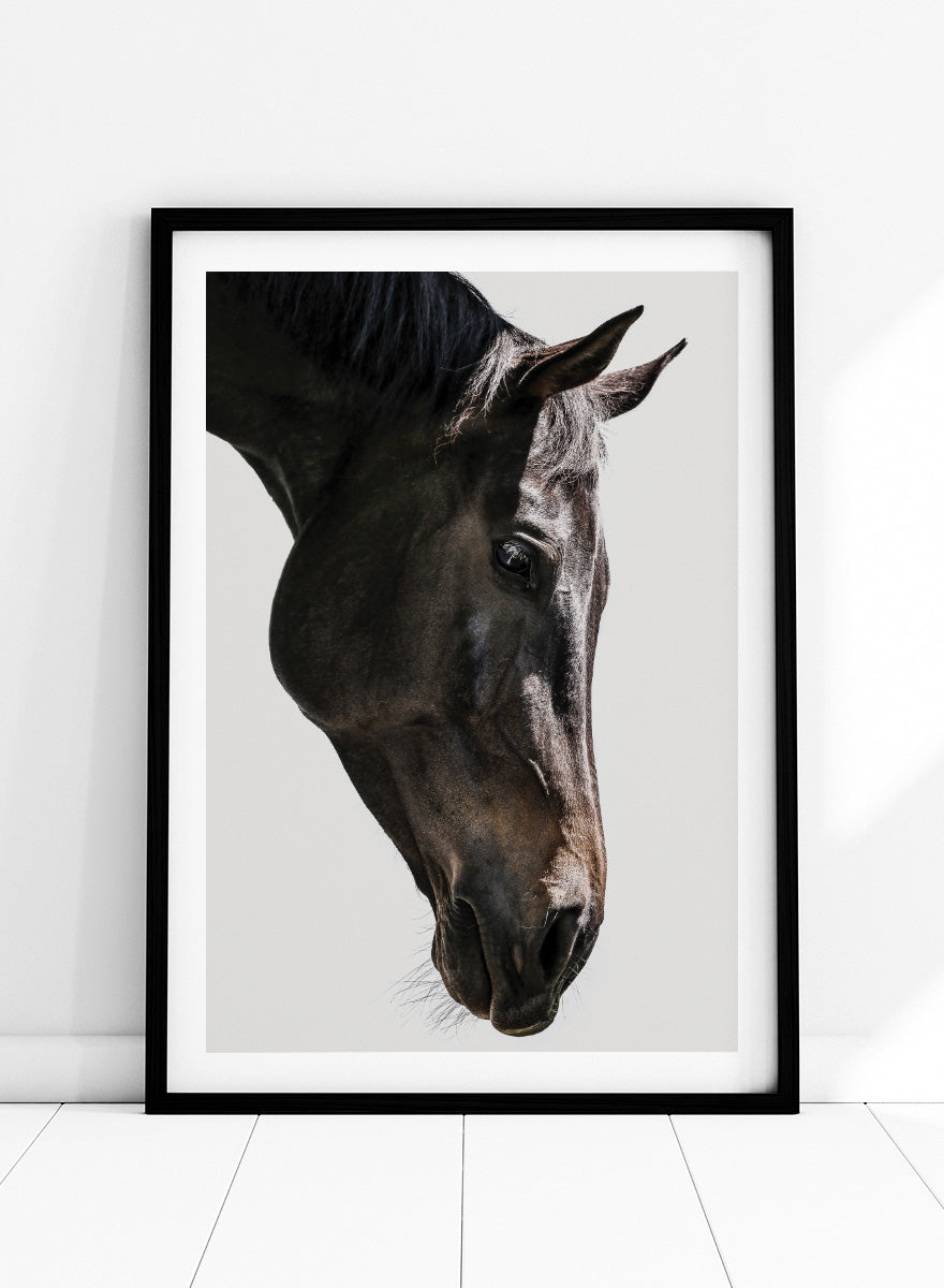 A framed photographic art print featuring a close-up portrait of a dark horse's head in profile against a light gray background. Gentle Equine Gaze by Shot by Clint horse photography print featuring a close-up portrait, soft natural light, and elegant neutral tones.