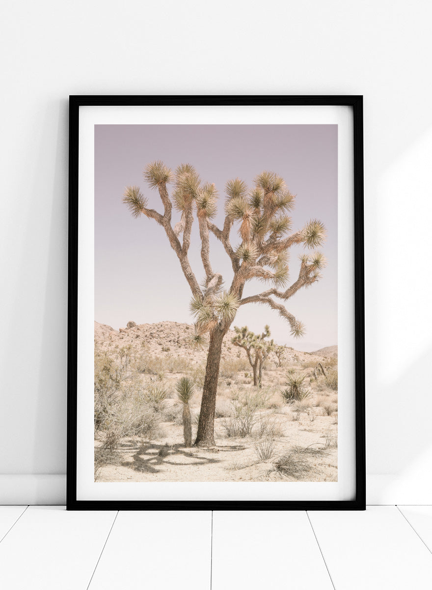 A framed art print depicting a desert landscape with a prominent Joshua tree in the foreground, set against a pale lavender sky and sandy hills. Desert Serenity by Shot by Clint features a Joshua tree desert landscape in soft earthy tones with a pale sky and calm, sun-washed atmosphere.