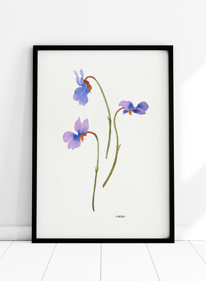 NKTN - Delicate Purple Violets Art Print