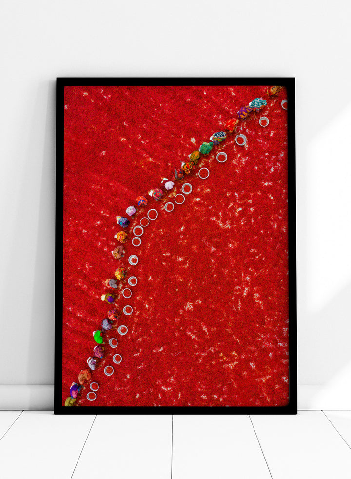 Picking Red Chilies by Azim Khan Ronnie aerial photography print showing workers harvesting red chilli fields Bangladesh, cultural documentary wall art poster