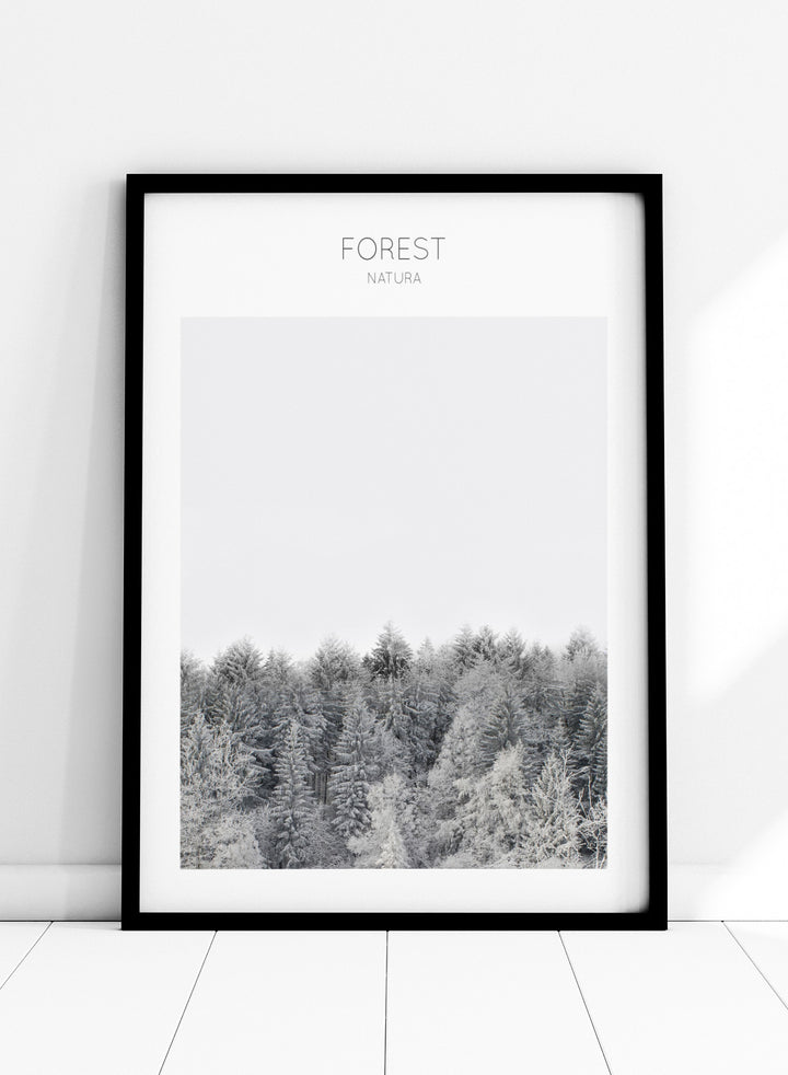 Black and white forest landscape with 'FOREST' and 'Natura' text at the top. Frosted Tranquility by The MIUUS Studio is a black and white forest photography art print and wall poster featuring snowy trees, minimalist composition, and modern neutral design.