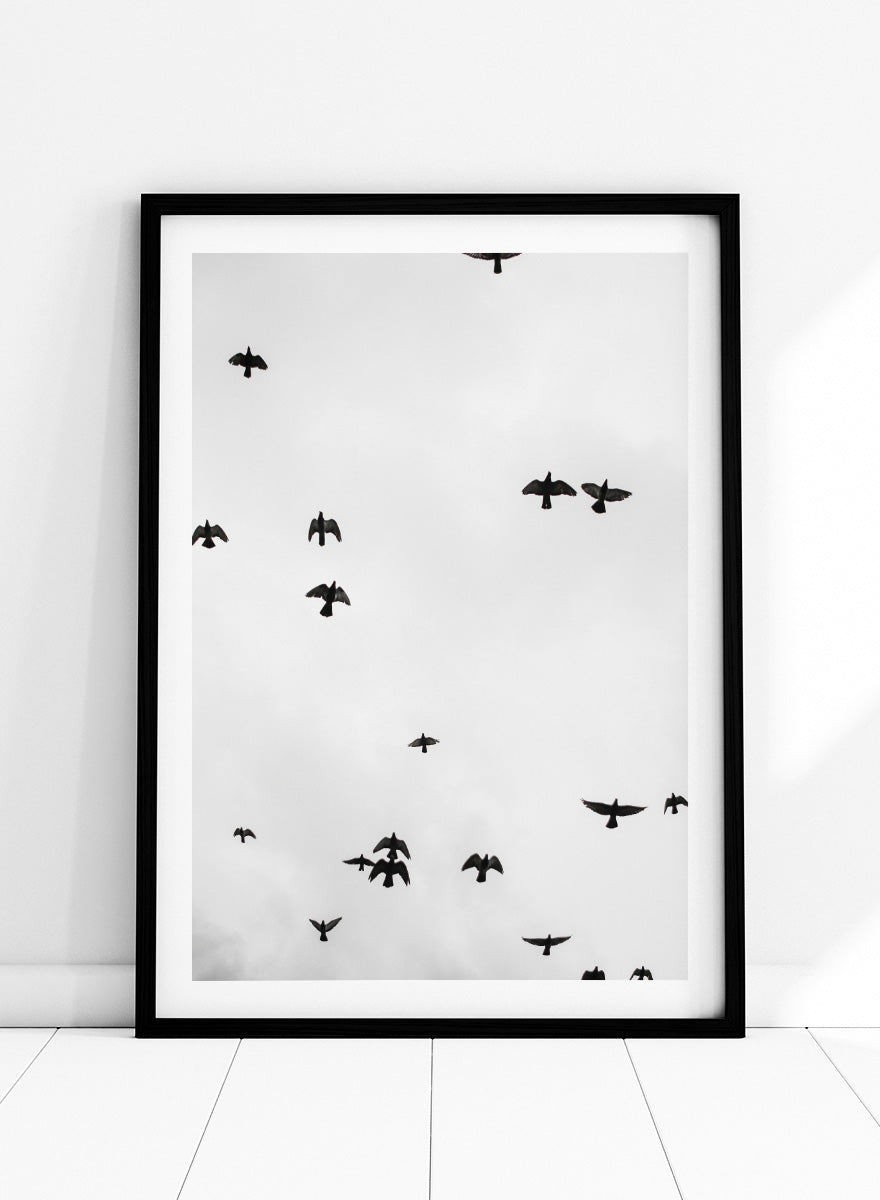 A framed black and white art print depicting a flock of birds flying across a cloudy sky, presented in a minimalist look. Birds in Flight by Shot by Clint black-and-white bird photography print featuring a scattered flock, open sky, and graphic silhouettes in motion.