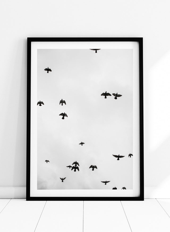 A framed black and white art print depicting a flock of birds flying across a cloudy sky, presented in a minimalist look. Birds in Flight by Shot by Clint black-and-white bird photography print featuring a scattered flock, open sky, and graphic silhouettes in motion.