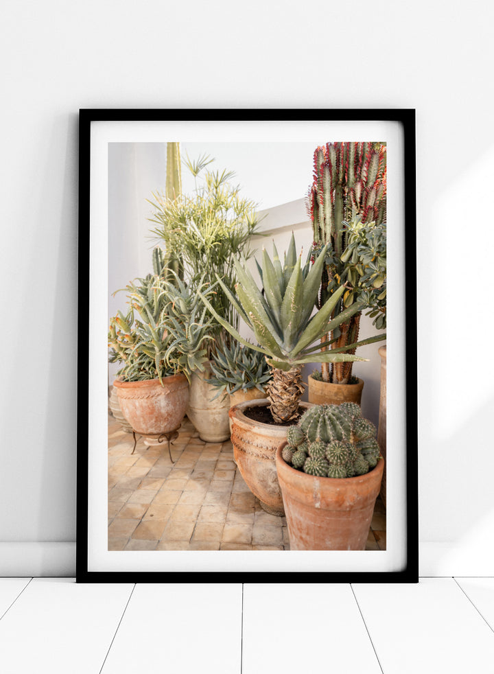 Collection of potted cacti and succulents on a patio. Sunny Desert Plant Garden by Henrike Schenk features cacti, agave, terracotta pots, and Moroccan garden styling in a warm botanical photography print.
