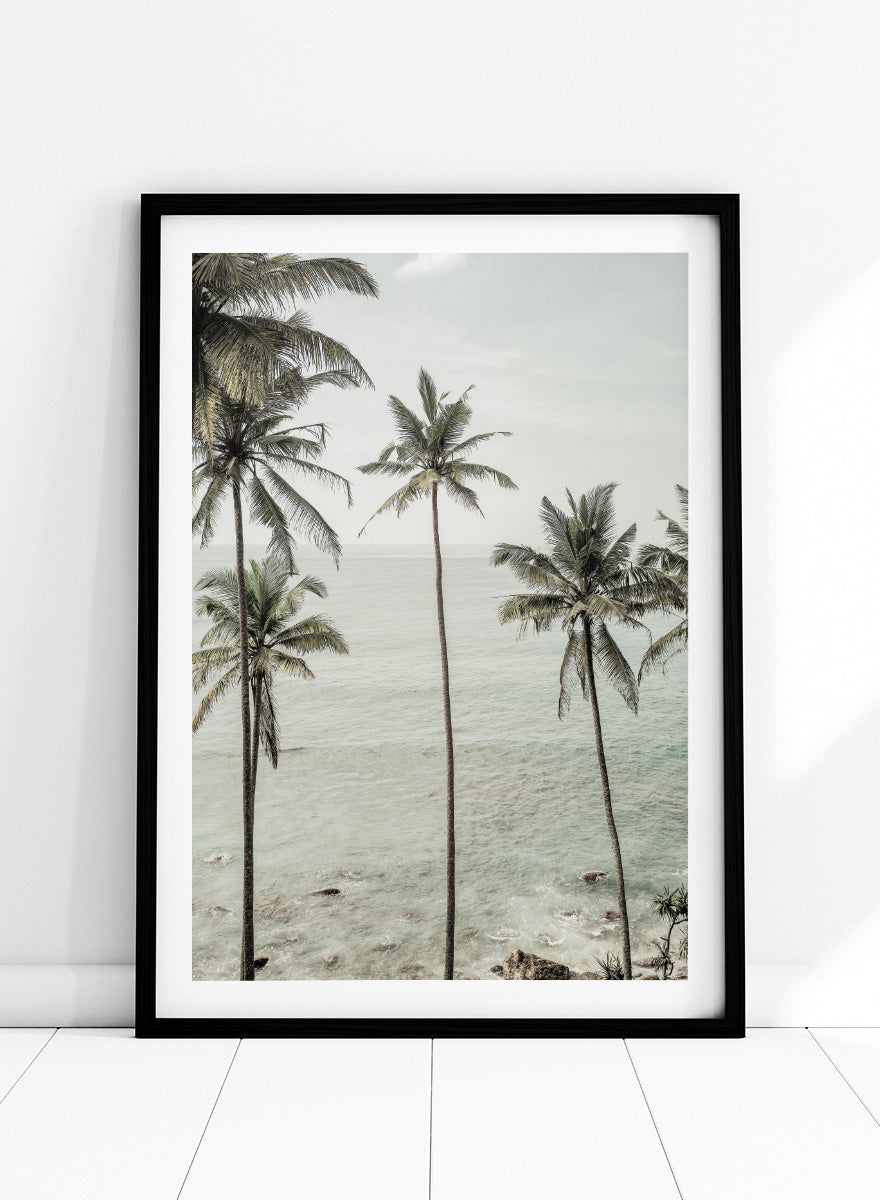 A framed photographic print of tropical coconut palm trees along a calm sea coastline. Tropical Dreams by Shot by Clint coastal photography print featuring tall palm trees, soft ocean waves, and muted tropical tones.