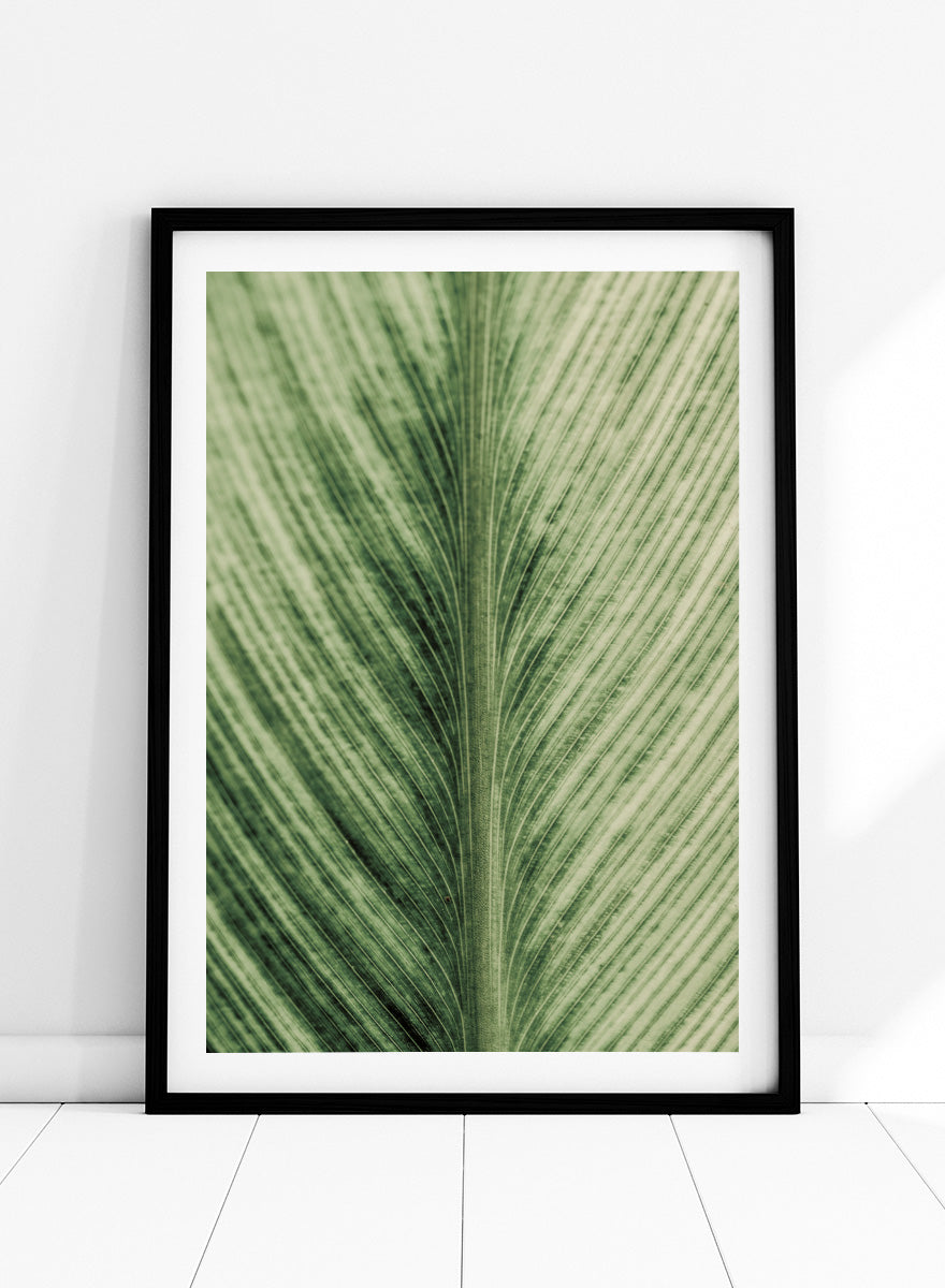 A framed botanical art print featuring a close-up photograph of a green leaf with prominent veins. Verdant Veins by Shot by Clint botanical photography print featuring detailed green leaf veins, natural texture, and layered organic pattern.