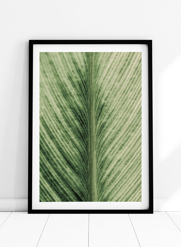 A framed botanical art print featuring a close-up photograph of a green leaf with prominent veins. Verdant Veins by Shot by Clint botanical photography print featuring detailed green leaf veins, natural texture, and layered organic pattern.