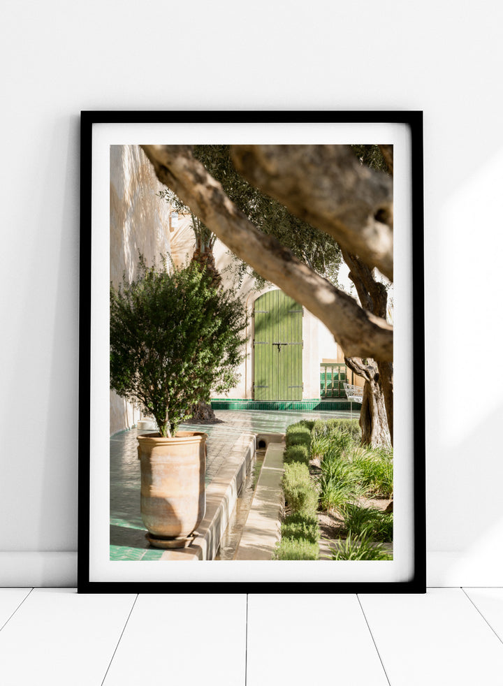 Potted plant in a garden with a green door and tree. Tranquil Garden Courtyard by Henrike Schenk is a Mediterranean photography print featuring a garden courtyard, green doorway, trees, and outdoor architecture.