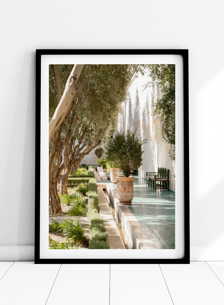 Garden pathway with trees, plants, and a building in the background. Mediterranean Garden Courtyard by Henrike Schenk is a travel photography print featuring olive trees, terracotta pots, tiled walkways, and a Moroccan garden.