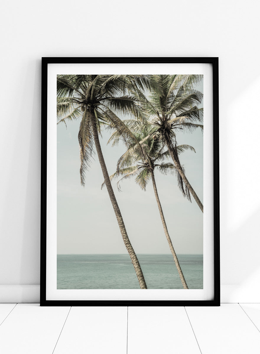 A framed art print featuring three leaning palm trees against a pale sky and ocean horizon. Ocean Breeze Palms by Shot by Clint coastal art print featuring tall palm trees, soft blue ocean views, and an airy tropical landscape.