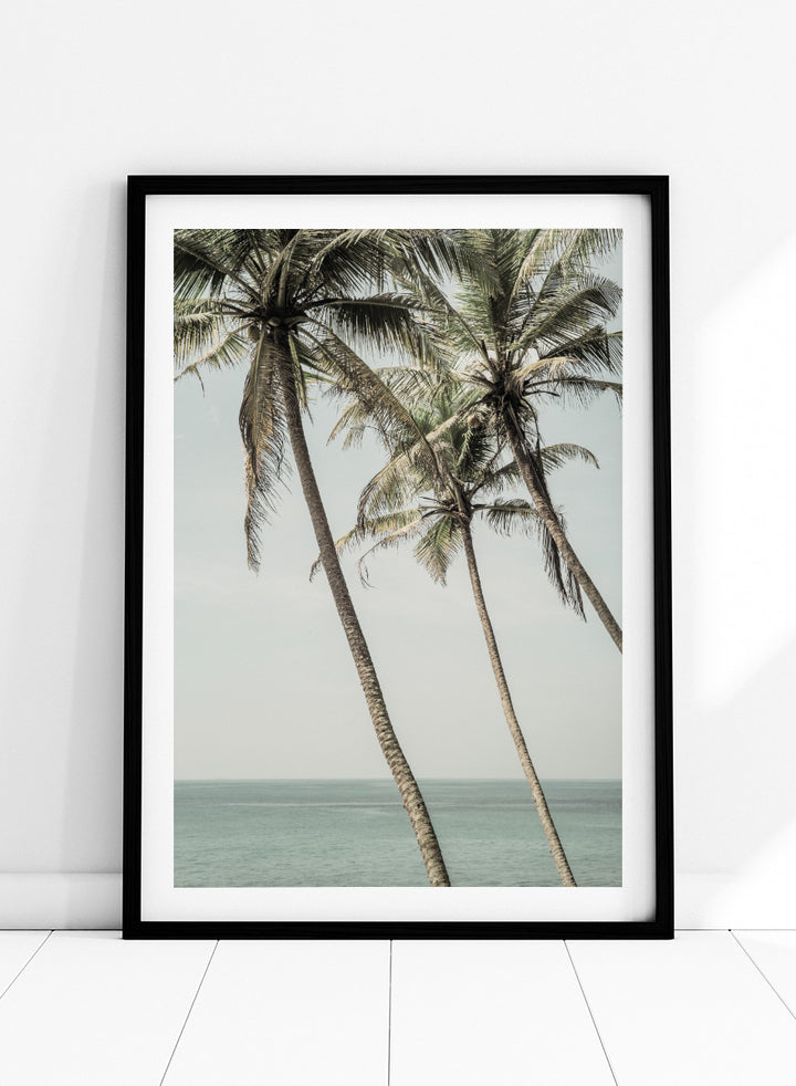 A framed art print featuring three leaning palm trees against a pale sky and ocean horizon. Ocean Breeze Palms by Shot by Clint coastal art print featuring tall palm trees, soft blue ocean views, and an airy tropical landscape.