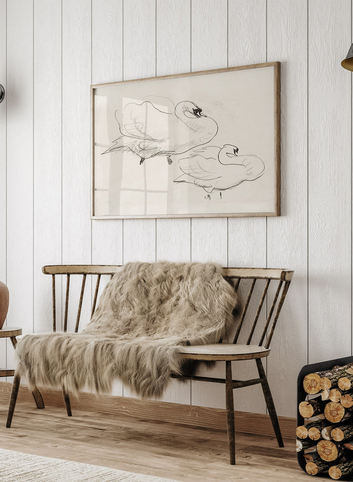 Studies of a Swan is a vintage pencil sketch print of two swans preening, a simple line drawing for a nature-inspired wall art collection.