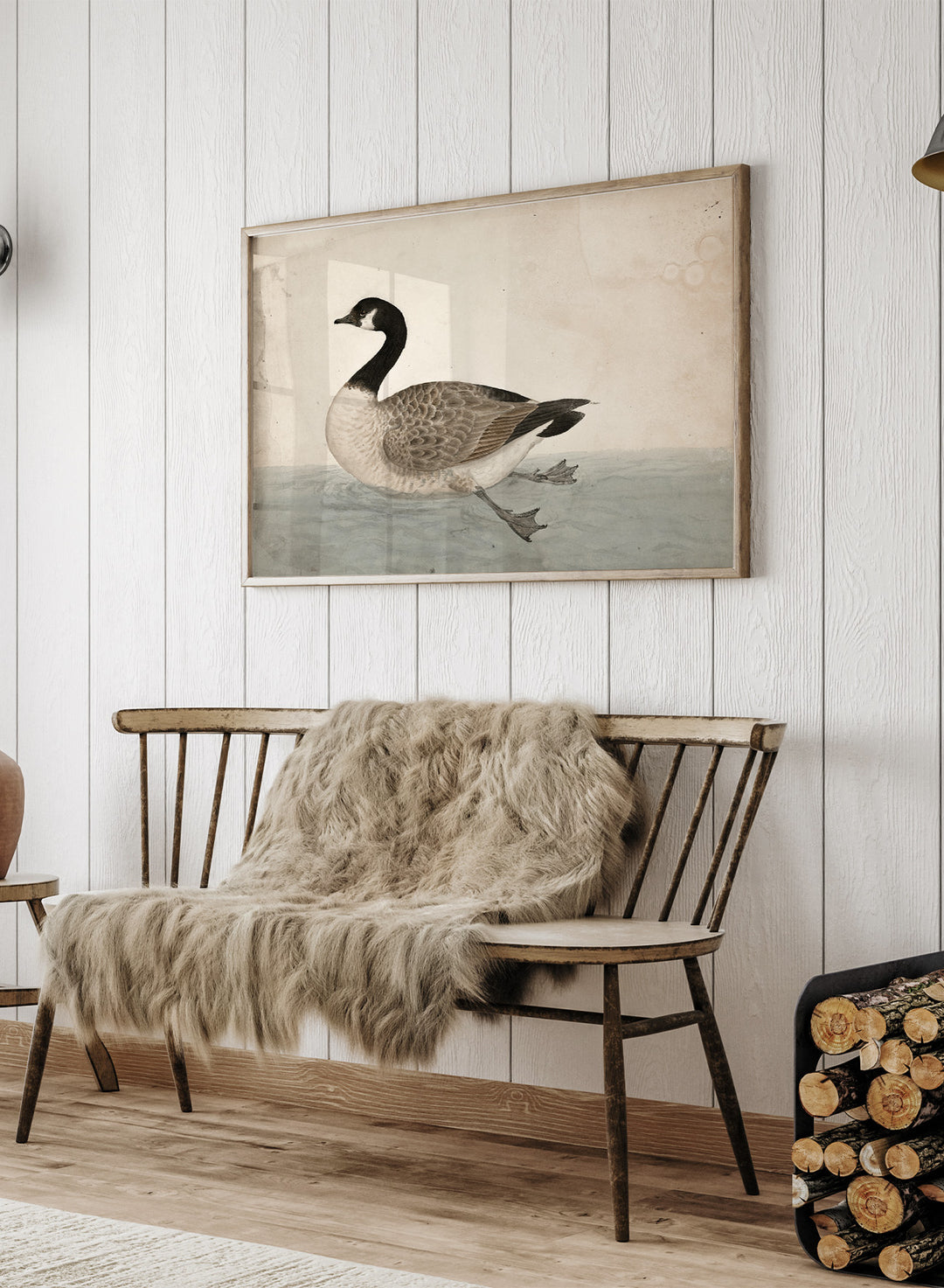 A Goose by James Sowerby is a vintage natural history animal print of a Canada goose swimming, a detailed bird study print for wall art lovers and collectors.