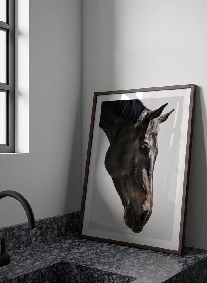 A framed photographic art print featuring a close-up portrait of a dark horse&