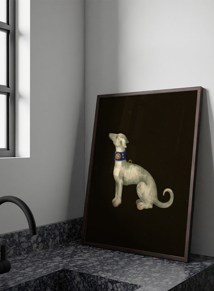 Shop Elegant White Greyhound by NKTN, a dog wall art print poster featuring a graceful white greyhound with a blue and gold collar on a dark background.