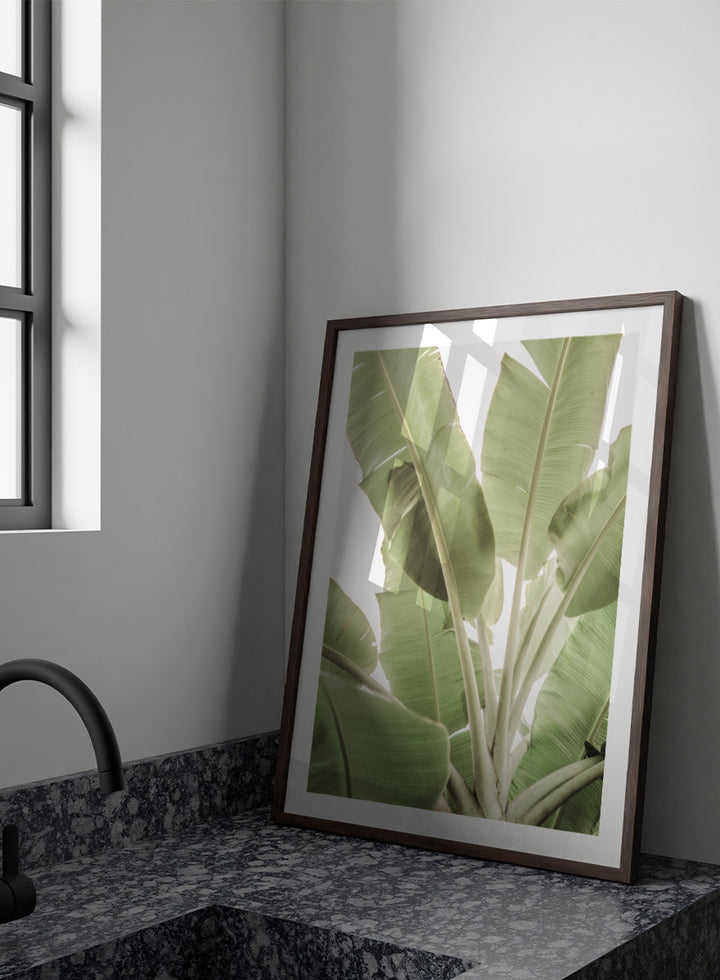 A framed botanical art print featuring large green banana leaves against a bright white background. Verdant Leafscape by Shot by Clint botanical photography print featuring layered banana leaves, pale green tones, natural texture, and bright tropical light.