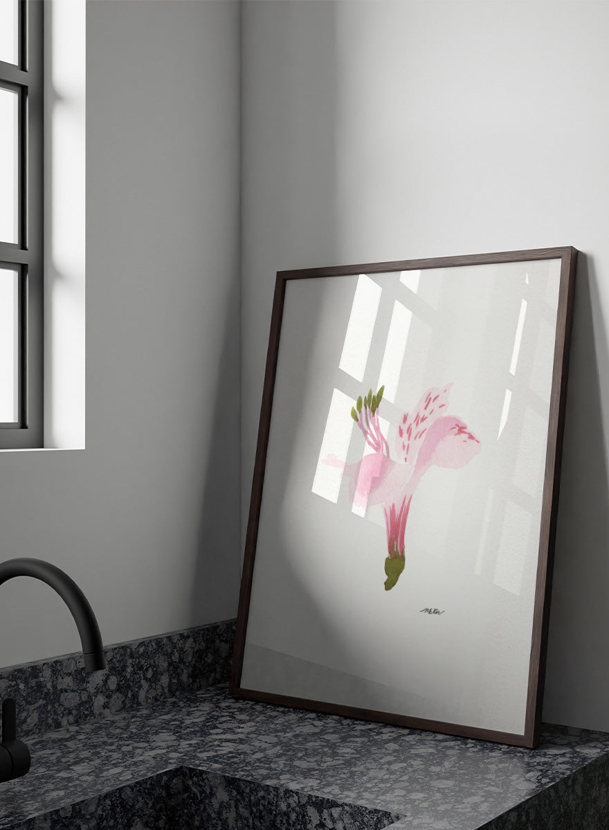 Shop Soft Pink Alstroemeria flower by NKTN, a botanical wall art print poster featuring a single pink alstroemeria flower in a delicate watercolor style.