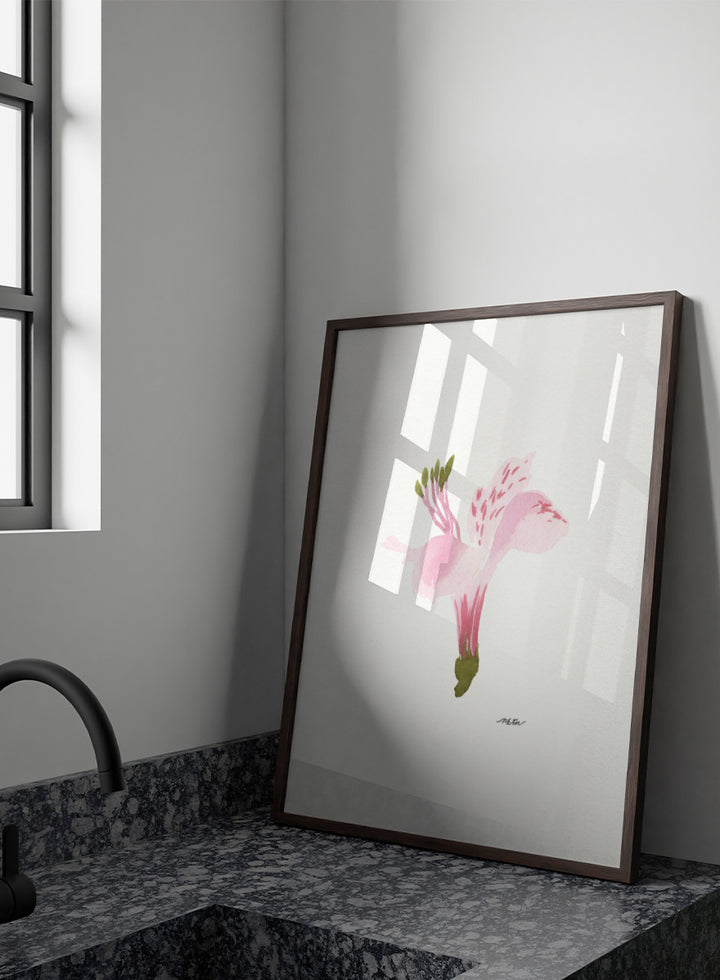 Shop Soft Pink Alstroemeria flower by NKTN, a botanical wall art print poster featuring a single pink alstroemeria flower in a delicate watercolor style.