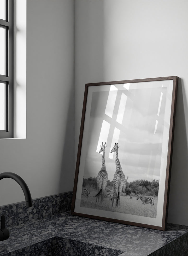Black and white photographic art print depicting two giraffes in a savanna landscape with zebras and trees under a cloudy sky. Super Safari by Shot by Clint black-and-white wildlife photography print featuring two giraffes standing among zebras in the South African grasslands.