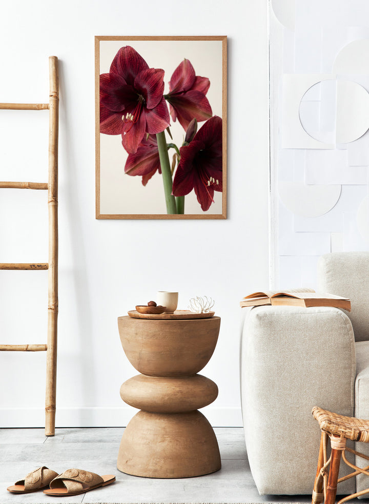 Close-up of dark red amaryllis flowers on a beige background. Red Amaryllis by Andreas Magnusson is a floral photography art print featuring bold red amaryllis flowers, modern botanical wall art style, and officially licensed artwork.