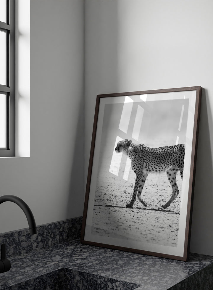 Black and white photographic art print of a cheetah walking across a sandy plain. Silent Pursuit by Shot by Clint black-and-white cheetah photography print featuring focused movement, detailed spots, and powerful wildlife imagery.