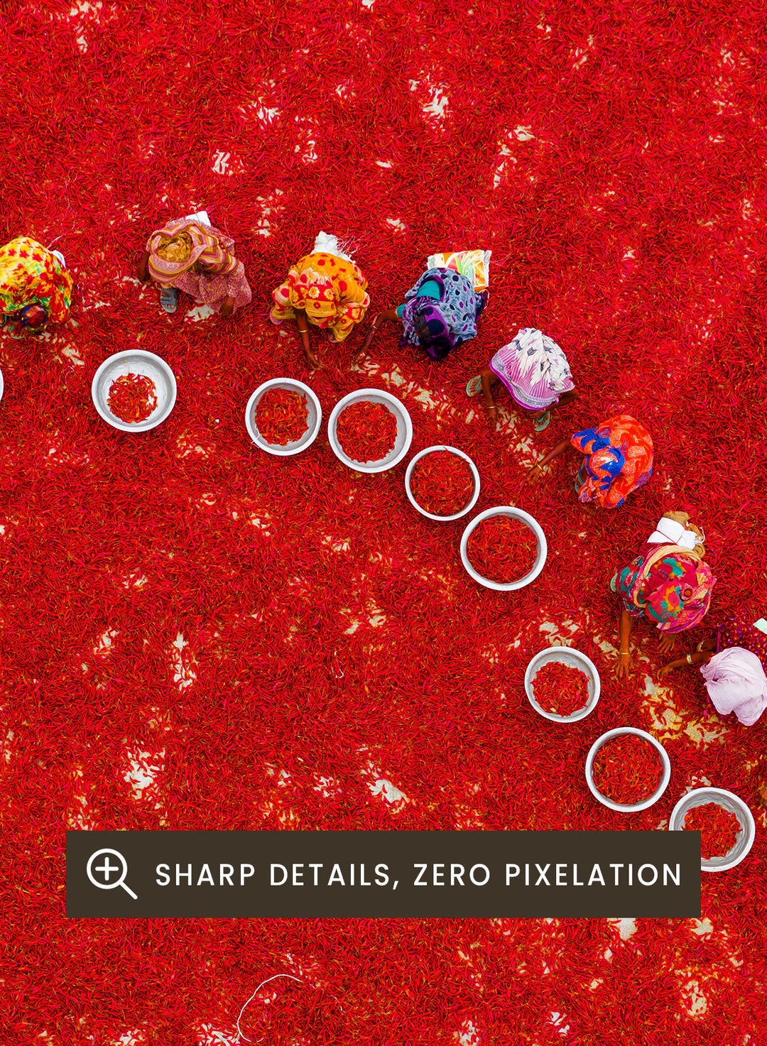 Picking Red Chilies by Azim Khan Ronnie aerial photography print showing workers harvesting red chilli fields Bangladesh, cultural documentary wall art poster