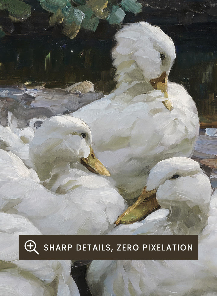 "Five Resting White Ducks" Art Print