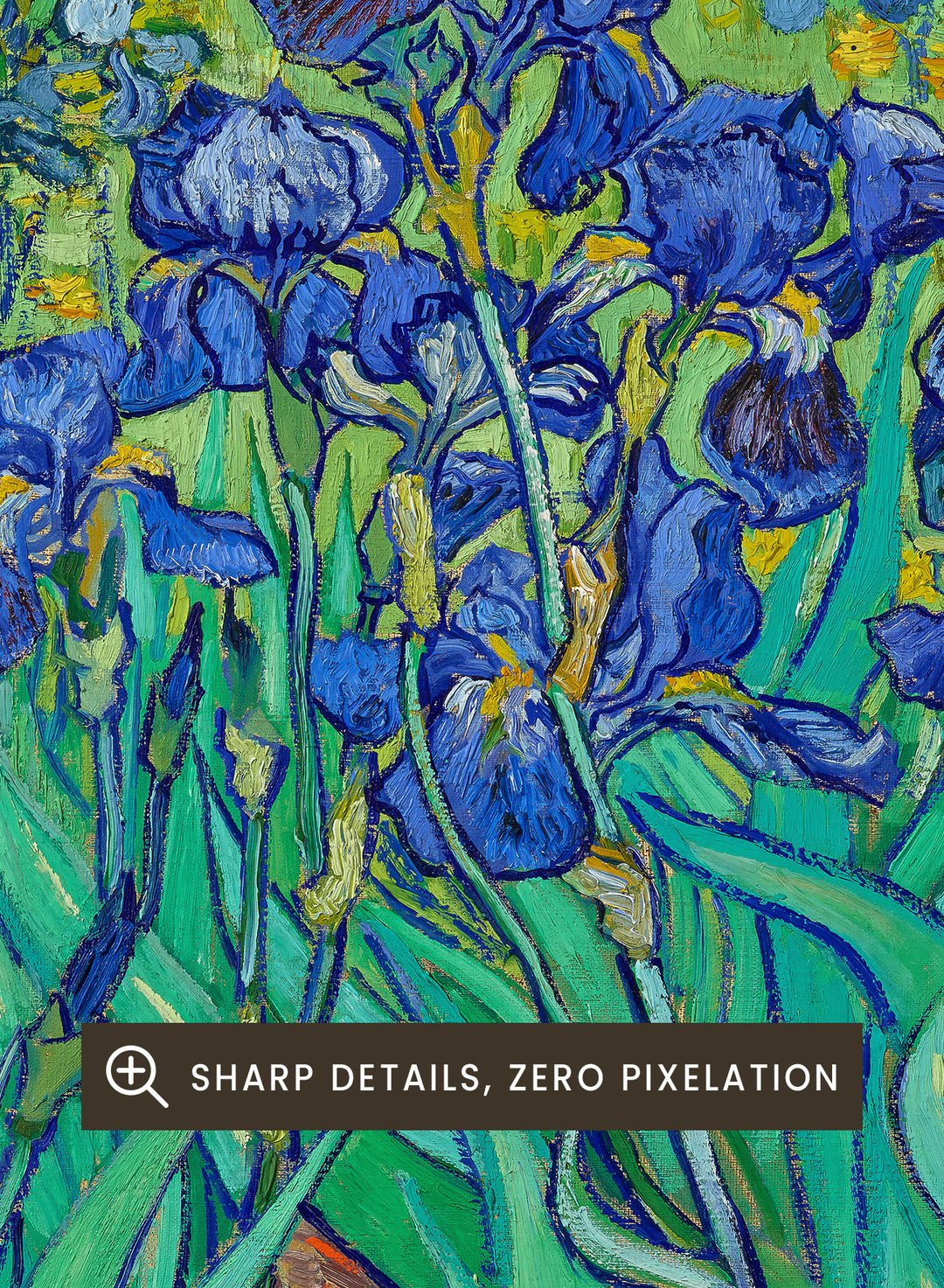 Van Gogh Irises 1889 Art Print