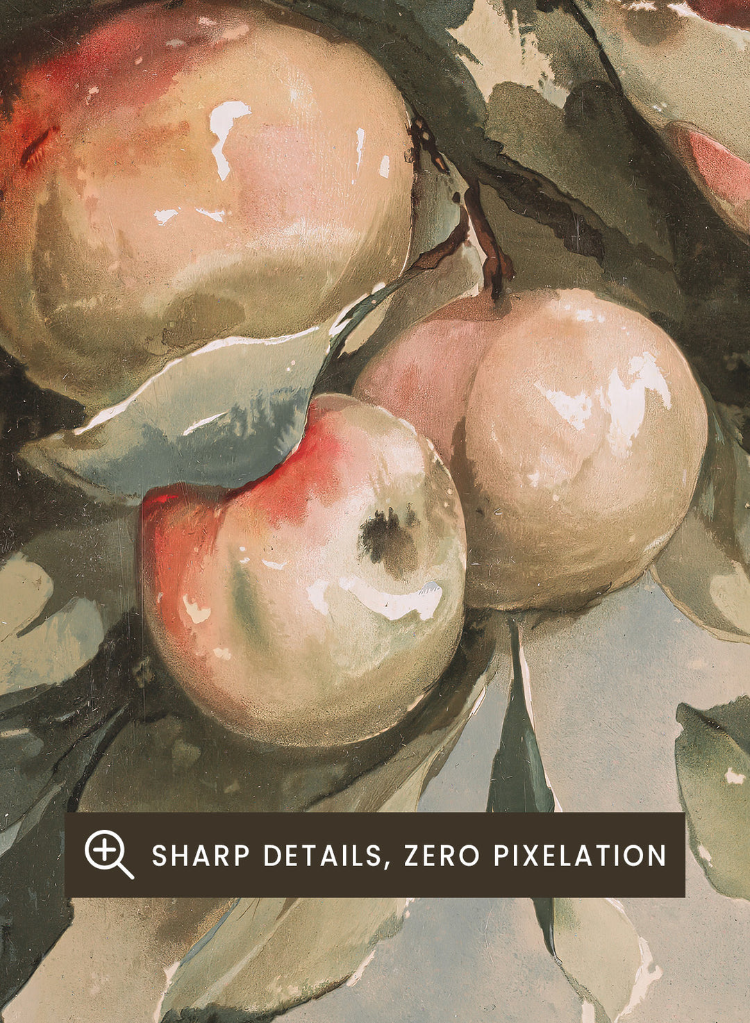 "Study of Apples" Art Print