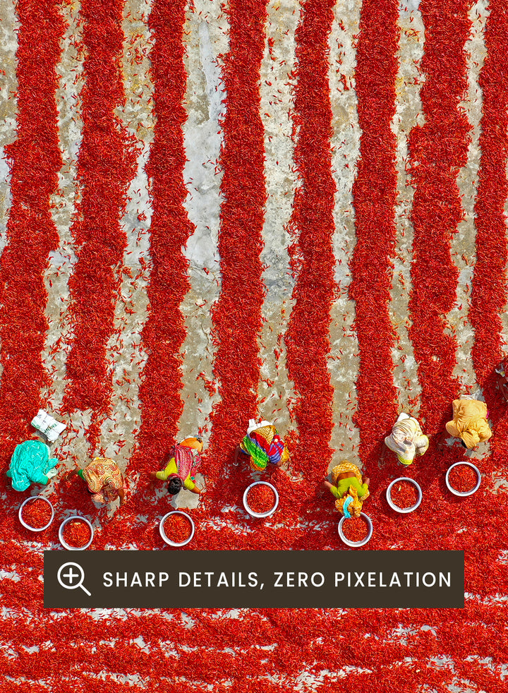 Azim Khan Ronnie - Drying Red Chilies Art Print