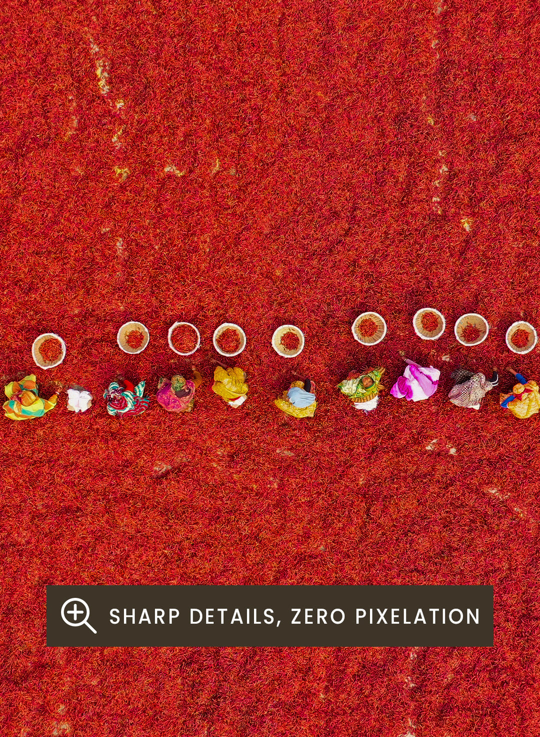 Pickers Sorting Chillies by Azim Khan Ronnie aerial photography print showing workers in red chilli fields Bangladesh, cultural documentary wall art poster. 