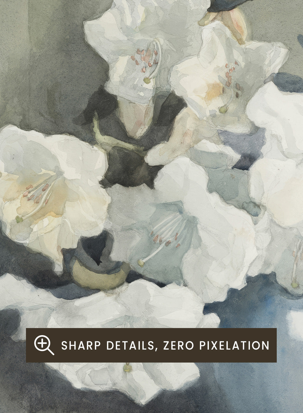 "Rhododendron Fragrantissima" Art Print