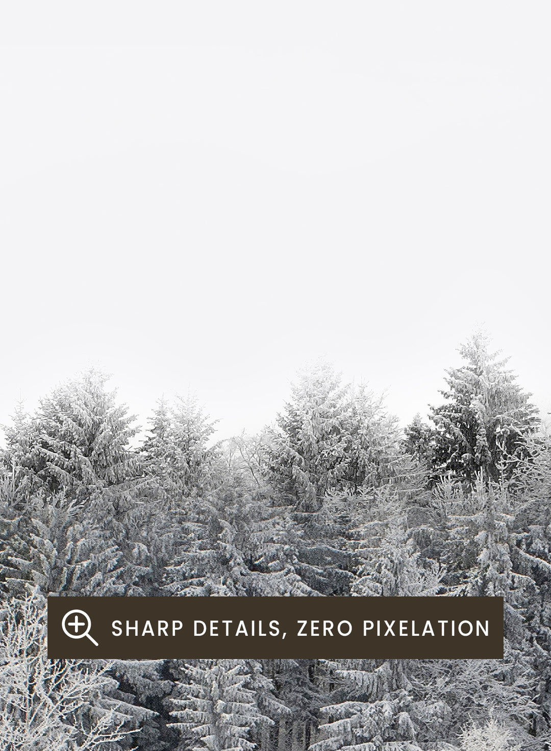 Black and white forest landscape with 'FOREST' and 'Natura' text at the top. Frosted Tranquility by The MIUUS Studio is a black and white forest photography art print and wall poster featuring snowy trees, minimalist composition, and modern neutral design.