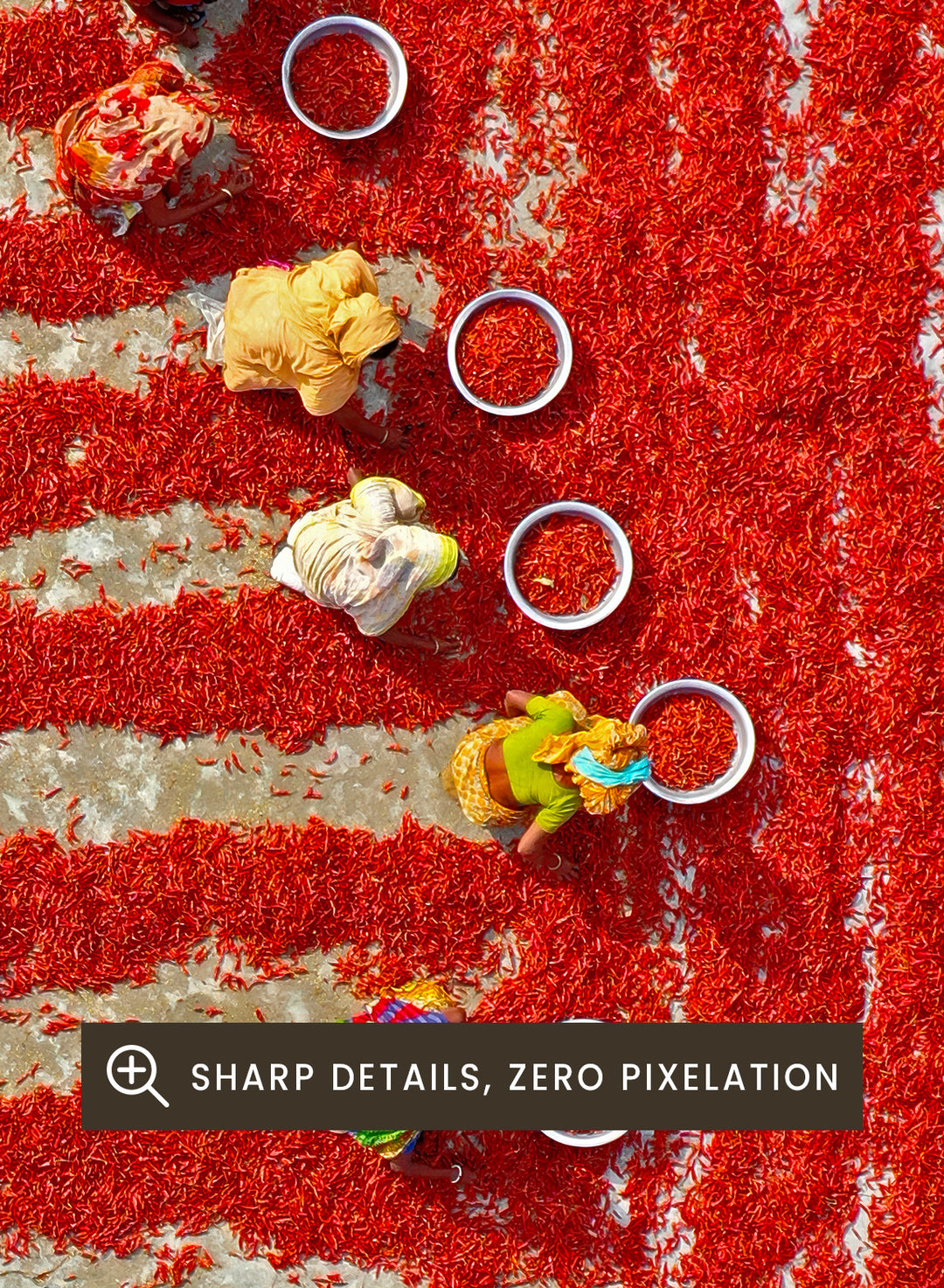 Drying Red Chilies by Azim Khan Ronnie aerial photography print showing chilli fields in Bangladesh with workers, cultural documentary wall art poster
