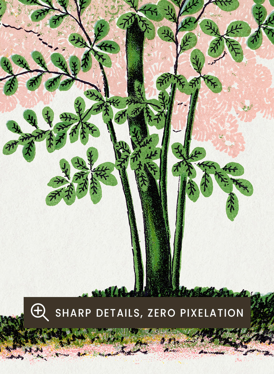 Shop the Purple Fringe Tree art print by Botanical Specimen Rochester Lithographing, a vintage botanical tree illustration featuring soft pink smoke-like blooms and green foliage from a 1900 plate.