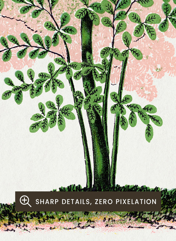 Shop the Purple Fringe Tree art print by Botanical Specimen Rochester Lithographing, a vintage botanical tree illustration featuring soft pink smoke-like blooms and green foliage from a 1900 plate.