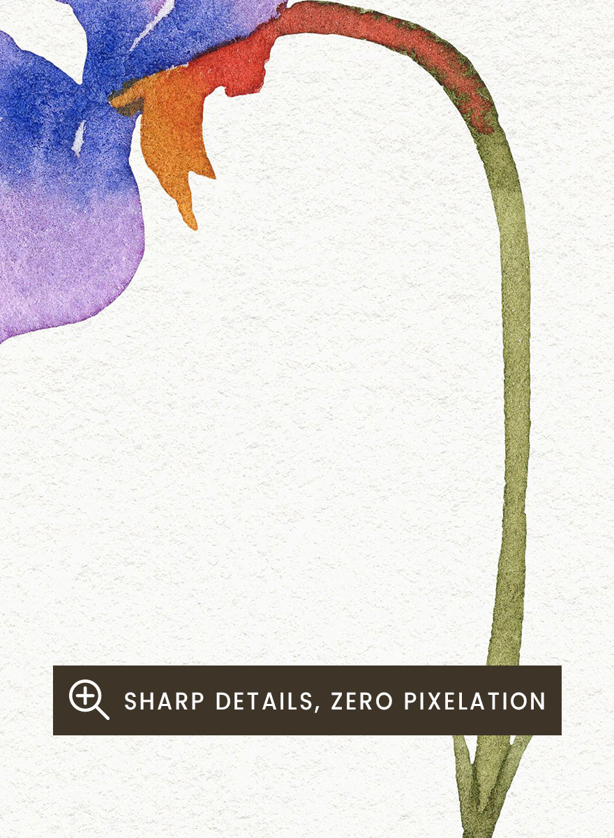 NKTN - Delicate Purple Violets Art Print