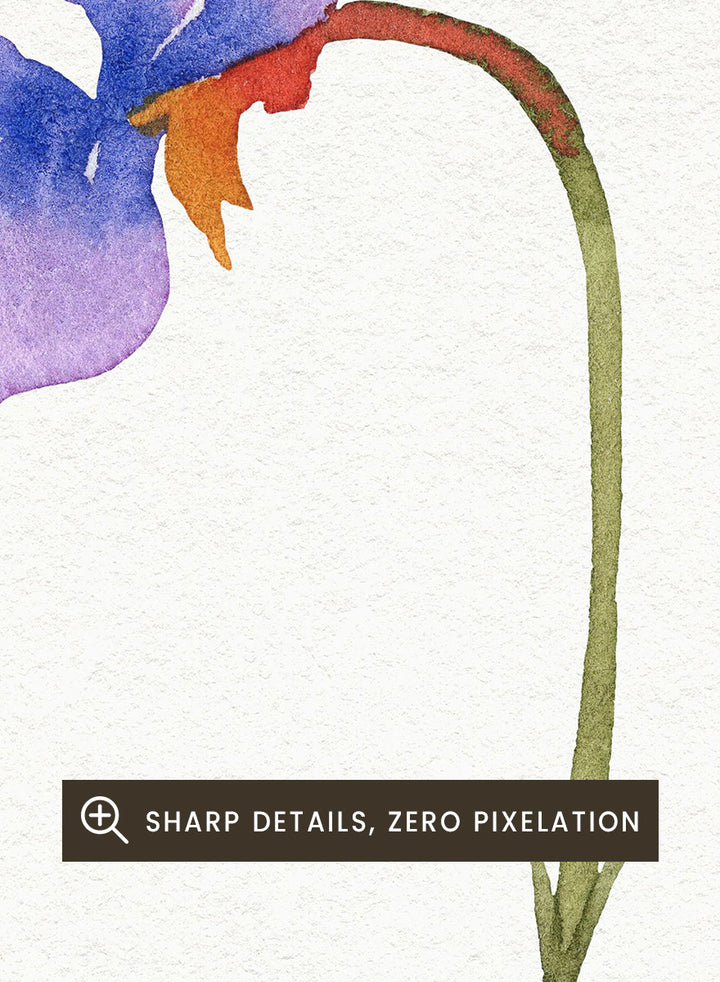 NKTN - Delicate Purple Violets Art Print