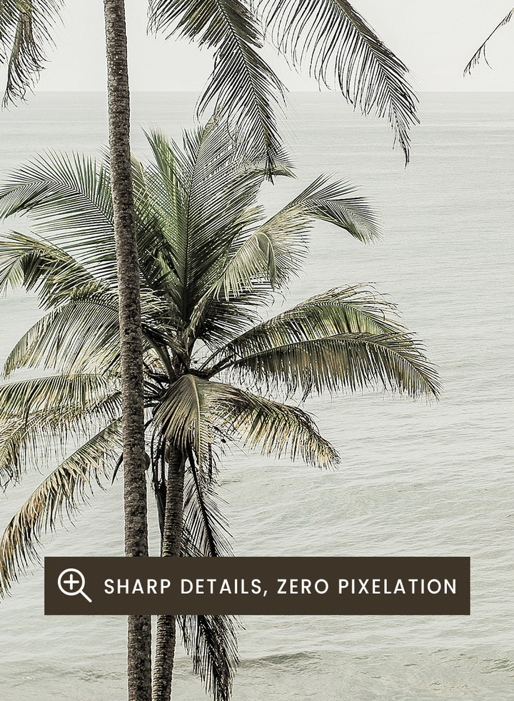 A framed photographic print of tropical coconut palm trees along a calm sea coastline. Tropical Dreams by Shot by Clint coastal photography print featuring tall palm trees, soft ocean waves, and muted tropical tones.