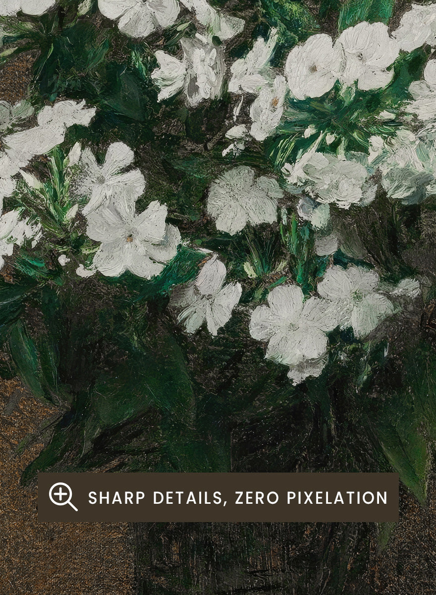 Shop White Phlox in a Vase by Henri Fantin-Latour, a vintage floral wall art print poster featuring a full bouquet of white phlox against a rich brown background.