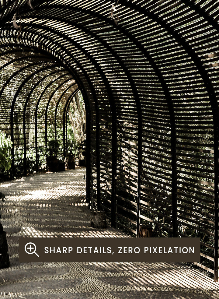 A framed art print featuring a perspective view of a garden pathway enclosed in a dark arched trellis structure, casting striped shadows on the ground. Shadow Garden by Shot by Clint architectural photography print featuring a curved wooden walkway, striped shadows, garden plants, and textured natural light.