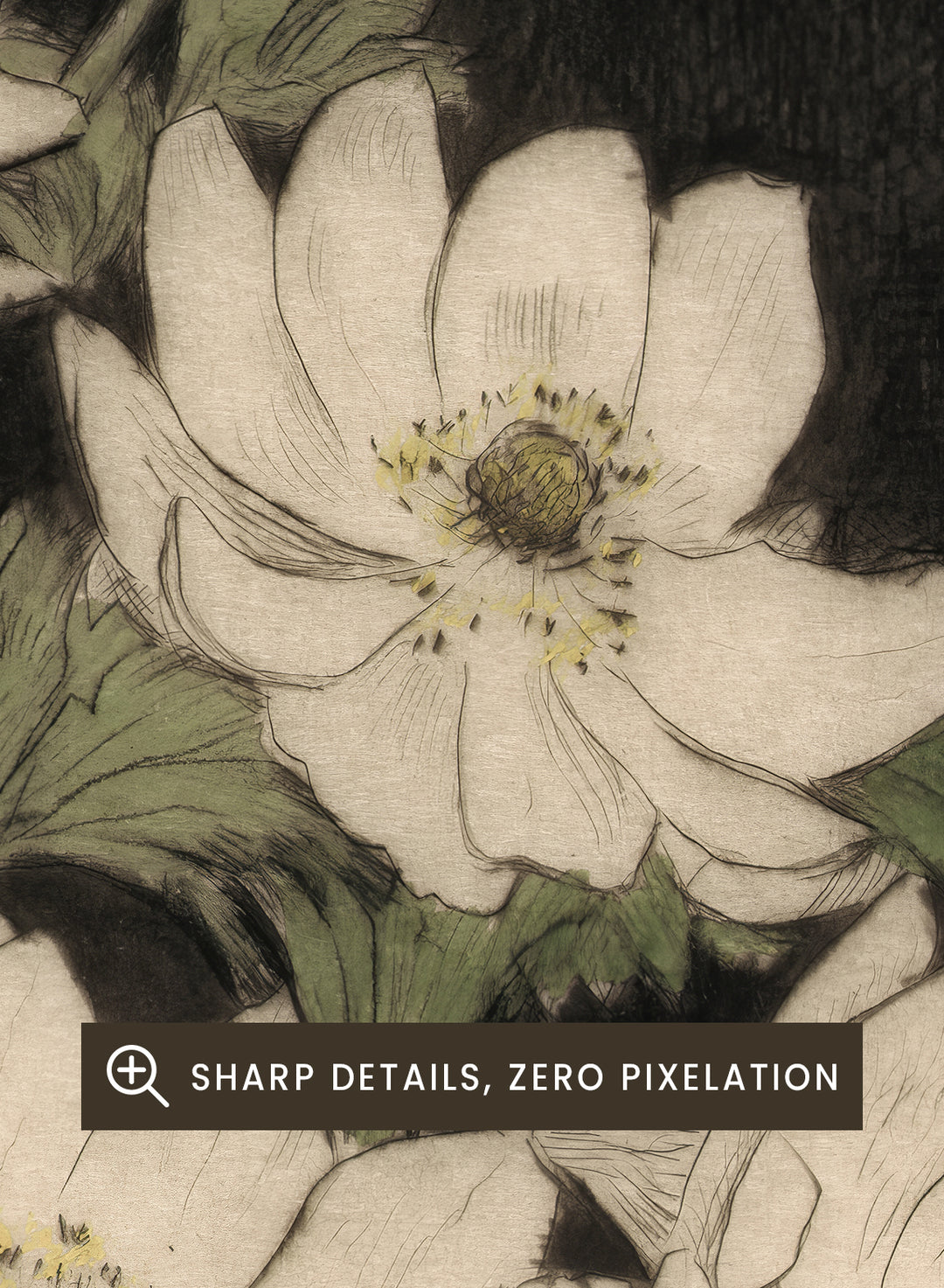 "Anemones" Art Print