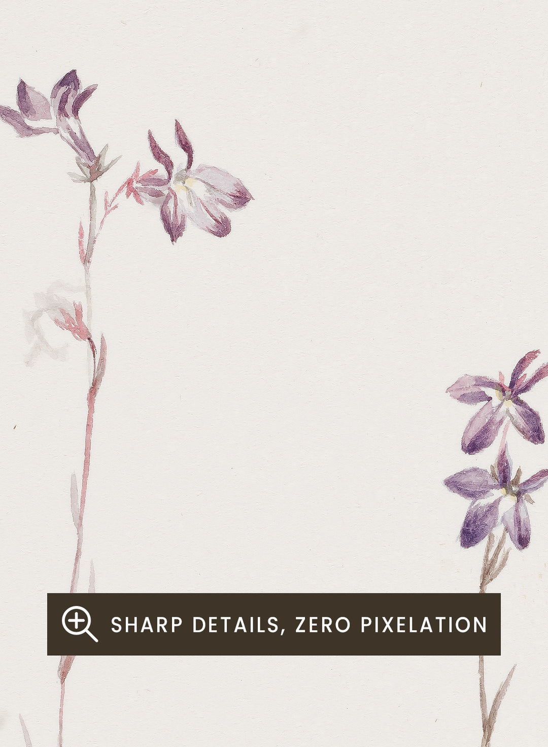 "Lobelia Kalmii" Art Print