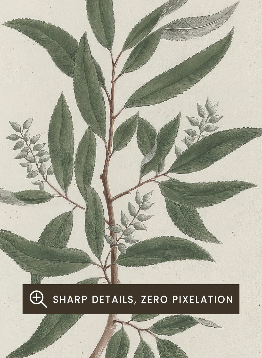 "Willow Tree" Art Print