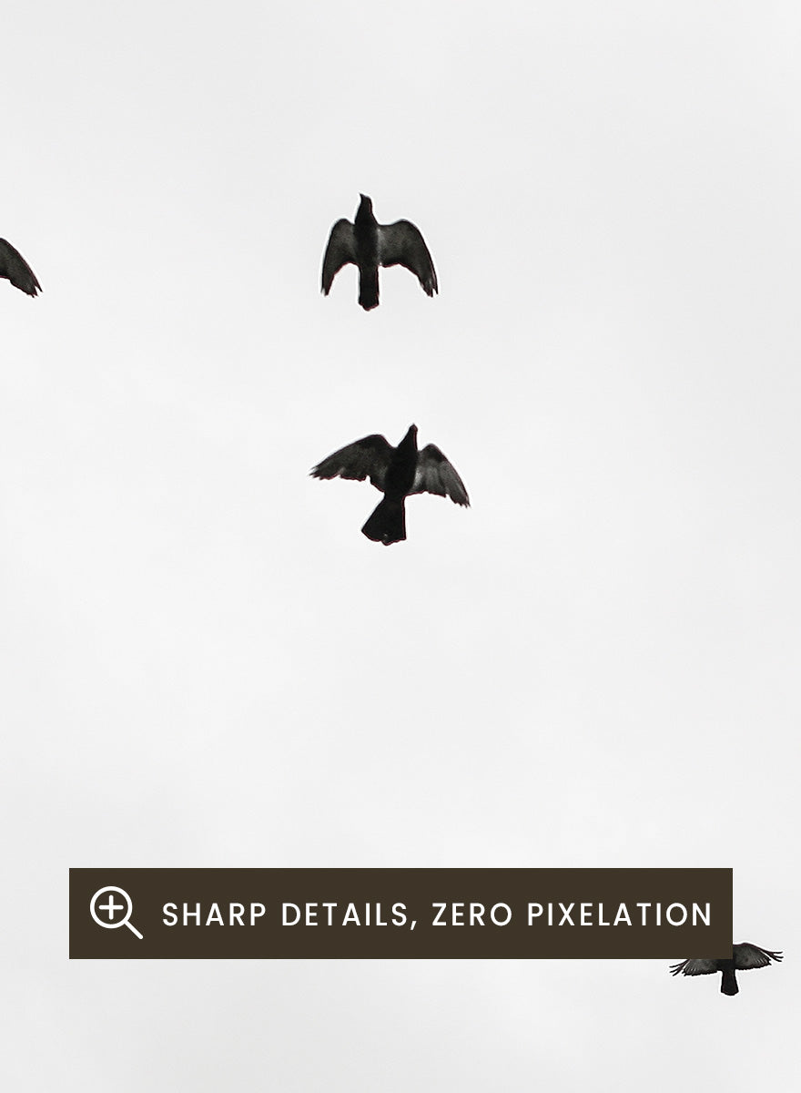 A framed black and white art print depicting a flock of birds flying across a cloudy sky, presented in a minimalist look. Birds in Flight by Shot by Clint black-and-white bird photography print featuring a scattered flock, open sky, and graphic silhouettes in motion.